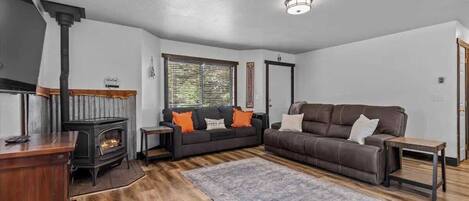 Smart TV, fireplace, books