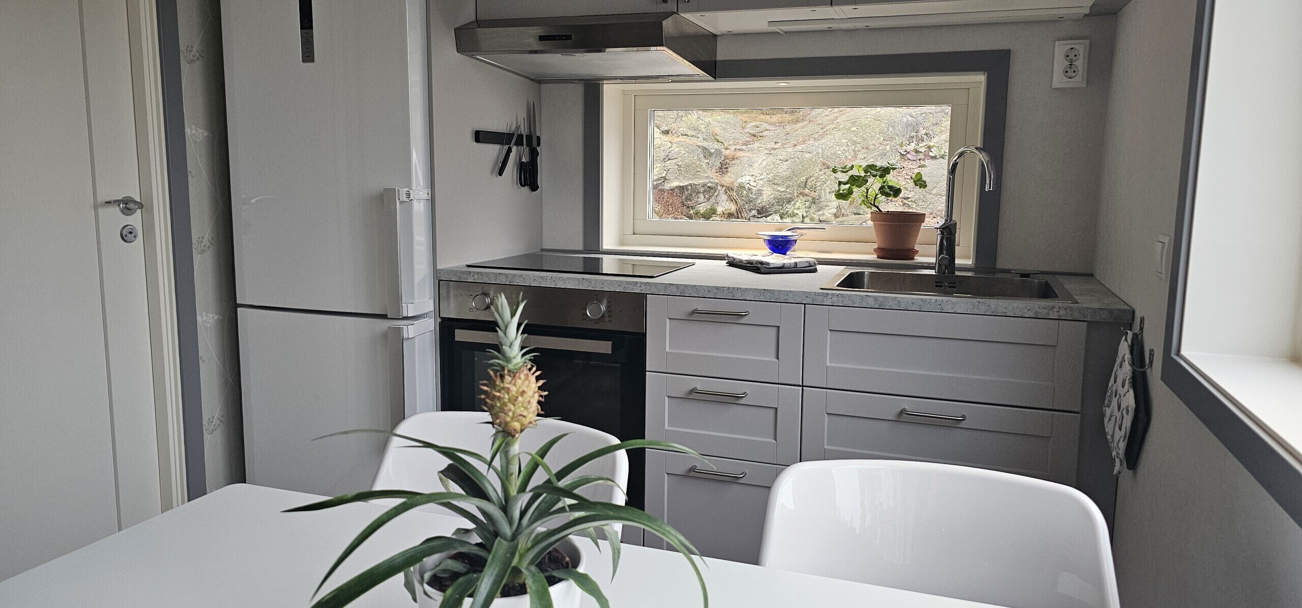 Fridge, oven, coffee/tea maker, electric kettle