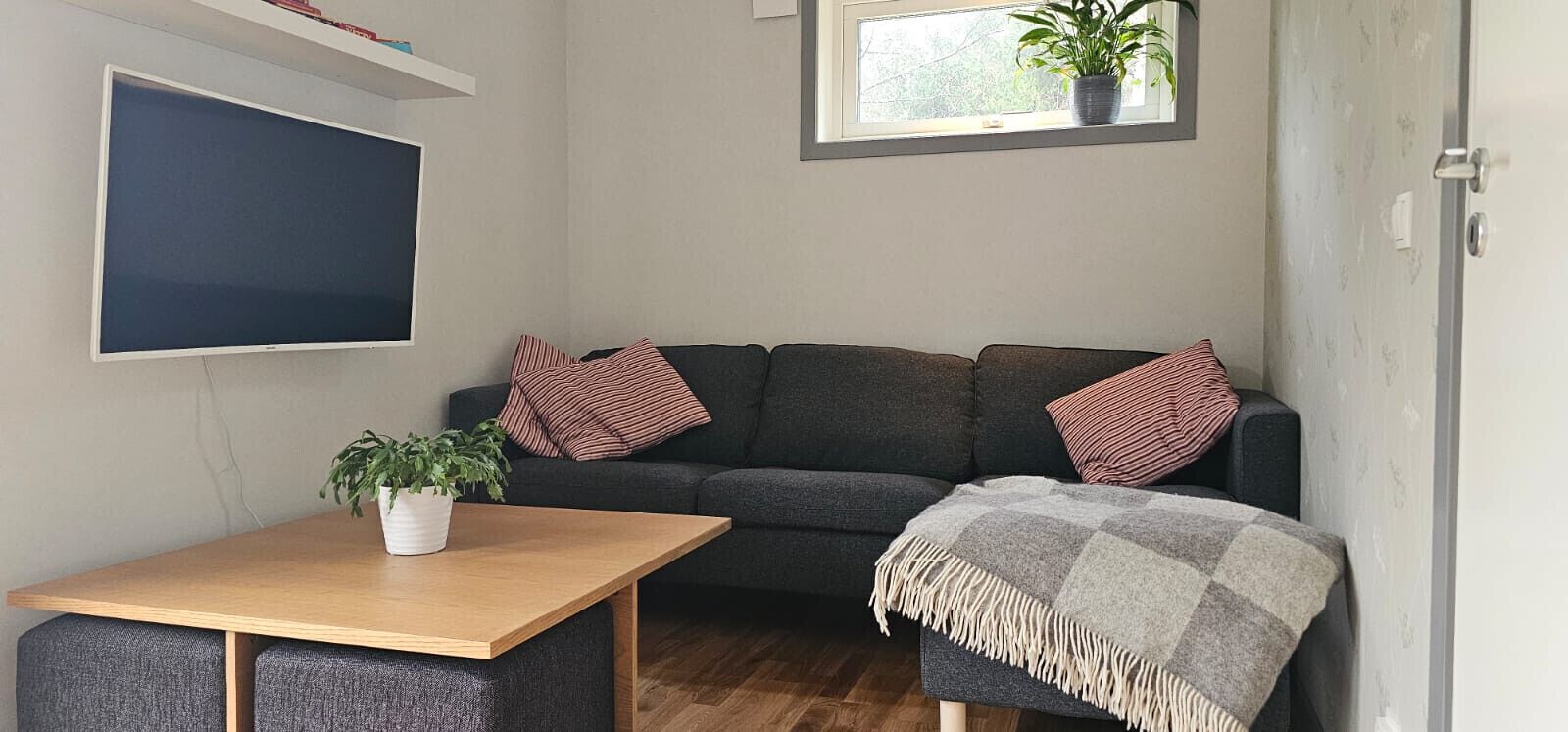 Ein Wohnzimmer mit einer Couch, einem Tisch mit Pflanze, einem Fenster mit Pflanze und einem an der Wand montierten Fernseher.