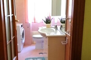 Shower, hair dryer, bidet