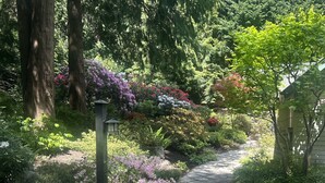 A stone pathway in a lush garden with various flowering plants and a lantern post. - Stunning Waterfront Retreat In Port Madison, Bainbridge Island-Furnished (Bainbridge Island)