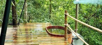 Immerse yourself in the forest! (Citlalapa)