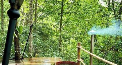 Immerse yourself in the forest! (Citlalapa)