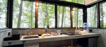 Immerse yourself in the forest! (Citlalapa)