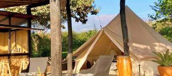 Escape to a Magical Forest (Citlalapa)