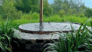A circular water feature with a central pole, surrounded by lush greenery and trees.