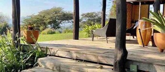 Escape to a Magical Forest (Citlalapa)