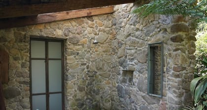 Cabin in a magical place. (Citlalapa)