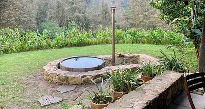 Cabin in a magical place. (Citlalapa)