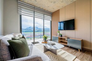 Fernseher, Arbeitsbereiche