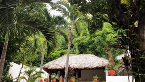 Property grounds - Casa Blanca (Santa María Huatulco)