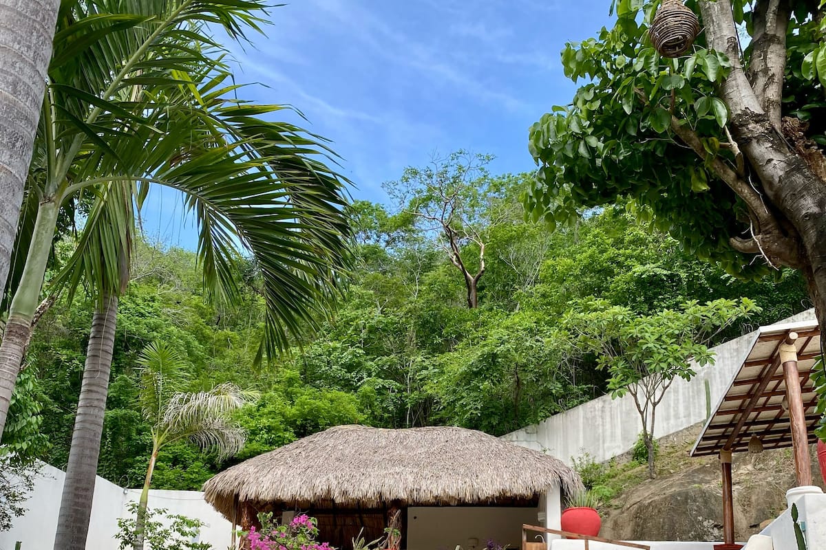 Vista al jardín