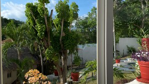 Garden view - Casa Blanca (Santa María Huatulco)