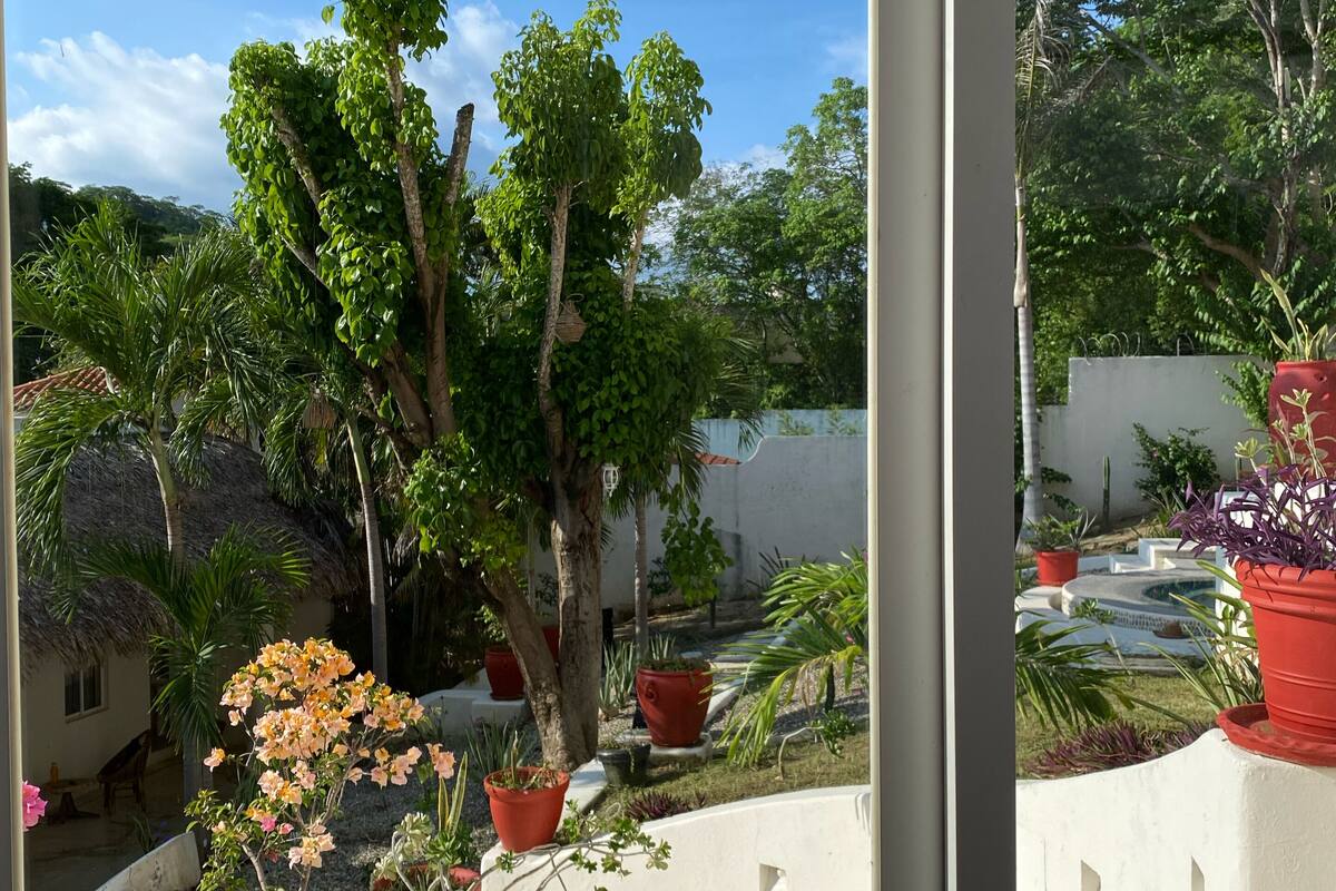Vista giardino