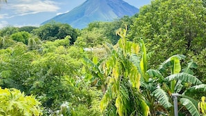 A view of a lush green landscape with a mountain in the background. - Quadruple Room with View (Moyogalpa)