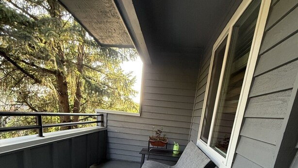 Property grounds - Welcome To Your Emerald City Getaway & Retreat! (Seattle)
