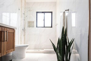 Shower, hair dryer, towels, soap