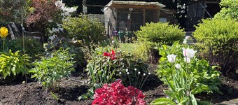 Bayview Bed and Breakfast