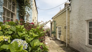 A narrow alleyway between buildings with a potted plant in the foreground.