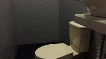 Douche, serviettes fournies, papier toilette