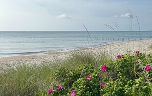 Beach - Stunning home in Odder with sauna (Odder)