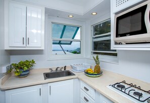 Réfrigérateur, micro-ondes, plaque de cuisson, cafetière/bouilloire
