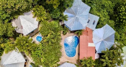 Charming 1-bedroom poolside in Tamarindo. Long term stays welcome.