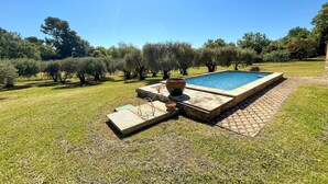 A rectangular swimming pool with a stone border, surrounded by a grassy lawn and olive trees.
