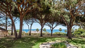 Un jardín ajardinado con árboles maduros, un camino de piedra y vistas al mar.