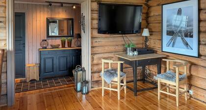 2 bedroom lovely home in Nesbyen