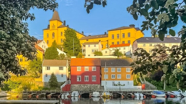 Uklassifisert bilde, 1 av 12, knapp