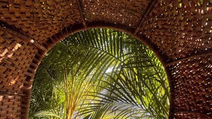 A circular viewing area with a woven ceiling and a view of tropical plants.