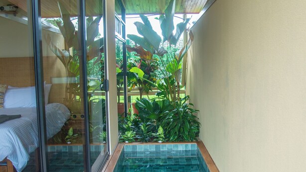 A wooden deck leading to a glass-enclosed room with a bed and a small pool area with plants.