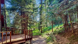 Une terrasse en bois qui mène à une zone boisée, dans un cadre naturel et rustique.