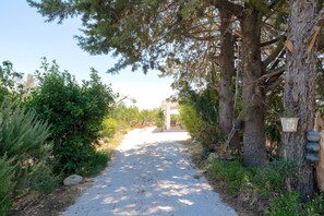 المنطقة المحيطة بالمنشأة