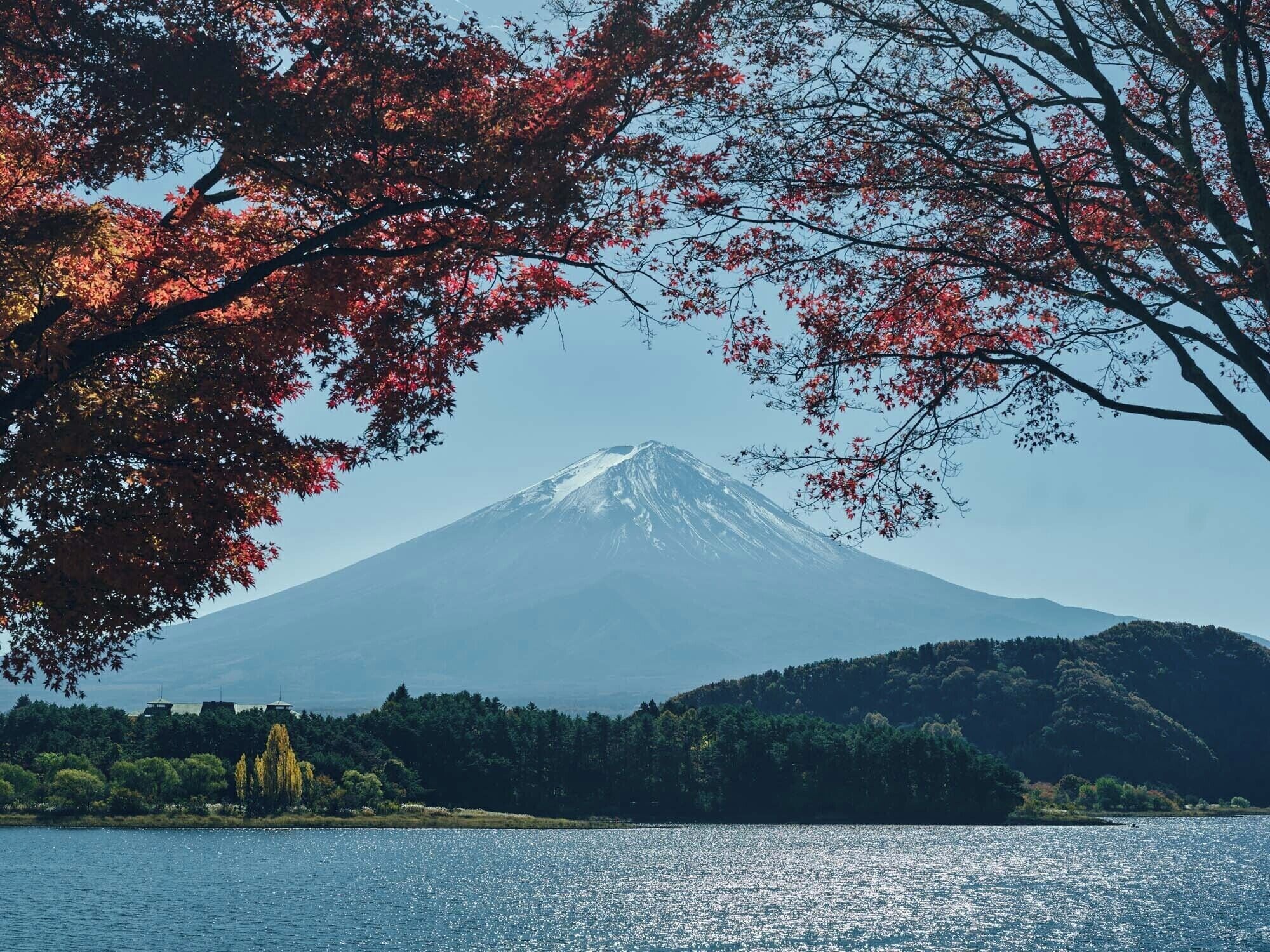 A mountain with a snow-capped peak, surrounded by trees with autumn leaves, and a body of water in the foreground.