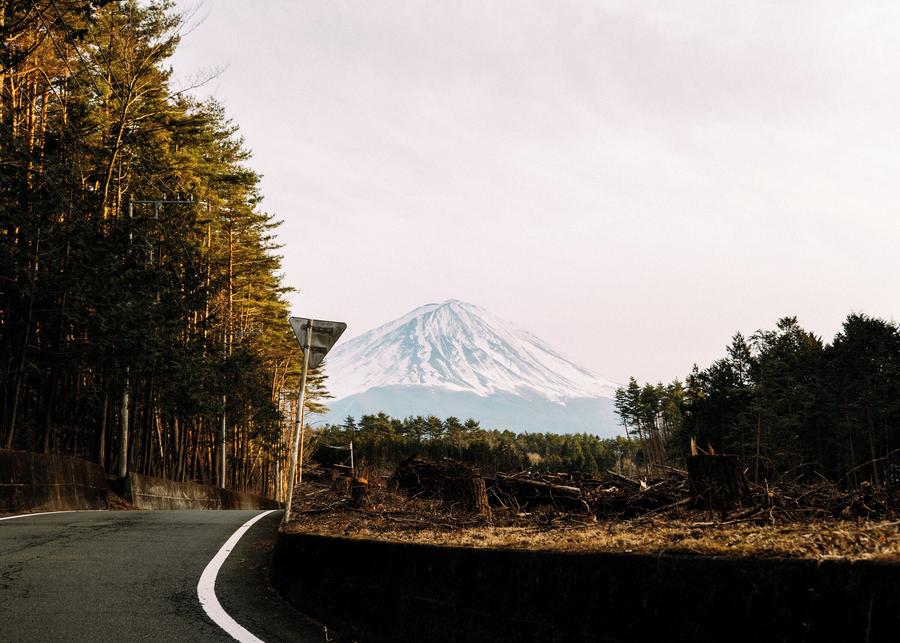 Une route qui tourne vers la gauche, avec une montagne en arrière-plan.