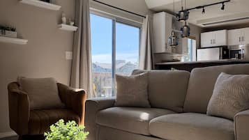 TV connectée, cheminée, espaces bureaux