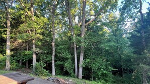 A picnic table in a wooded area with a concrete path.