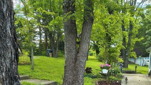 A landscaped garden with a stone border, trees, and various plants.