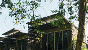 A modern wooden cabin with large windows, surrounded by lush greenery and a tree.