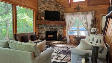 TV, fireplace, books