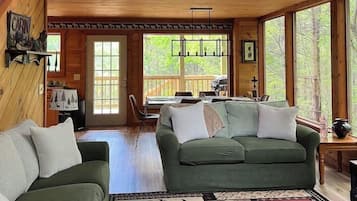 TV, fireplace, books