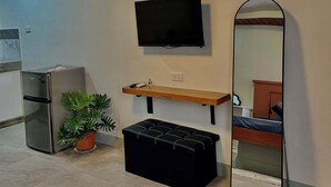 Una habitación moderna con televisión de pantalla plana montada en la pared, un estante de madera debajo, un banco negro, una planta en maceta y un espejo grande.