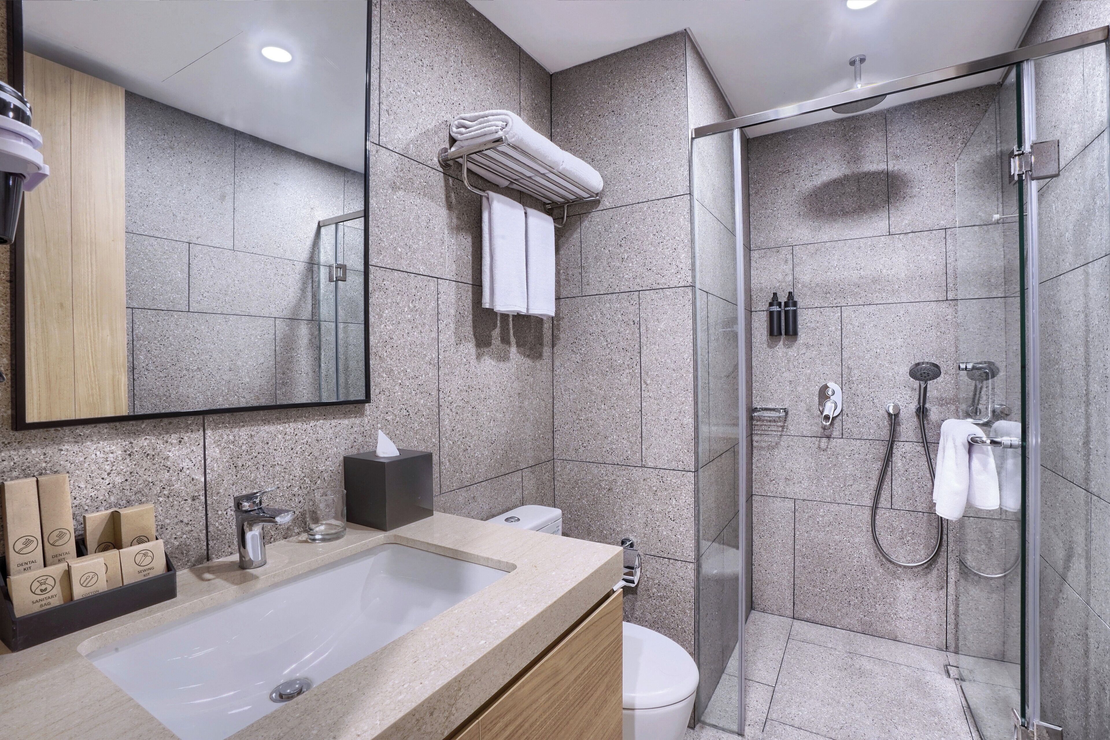 A modern bathroom with a large sink, a glass shower enclosure, and a toilet.