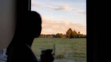 A person sitting by a window with a view of a grassy field and trees.