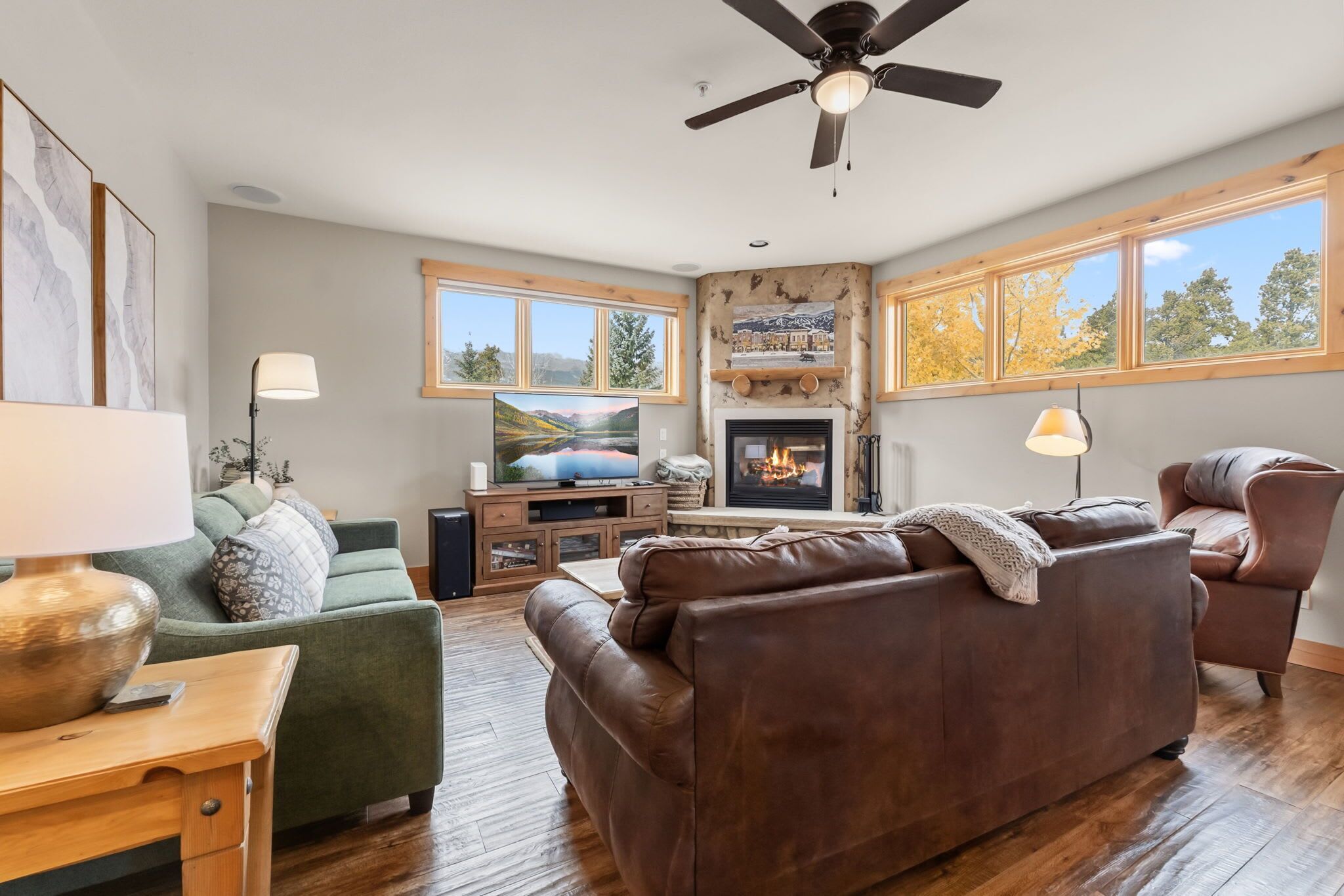 Televisión y chimenea 