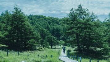 Land view from property