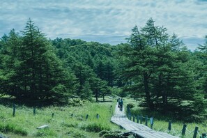 Land view from property - SANU 2nd Home Karuizawa 1st (Karuizawa)