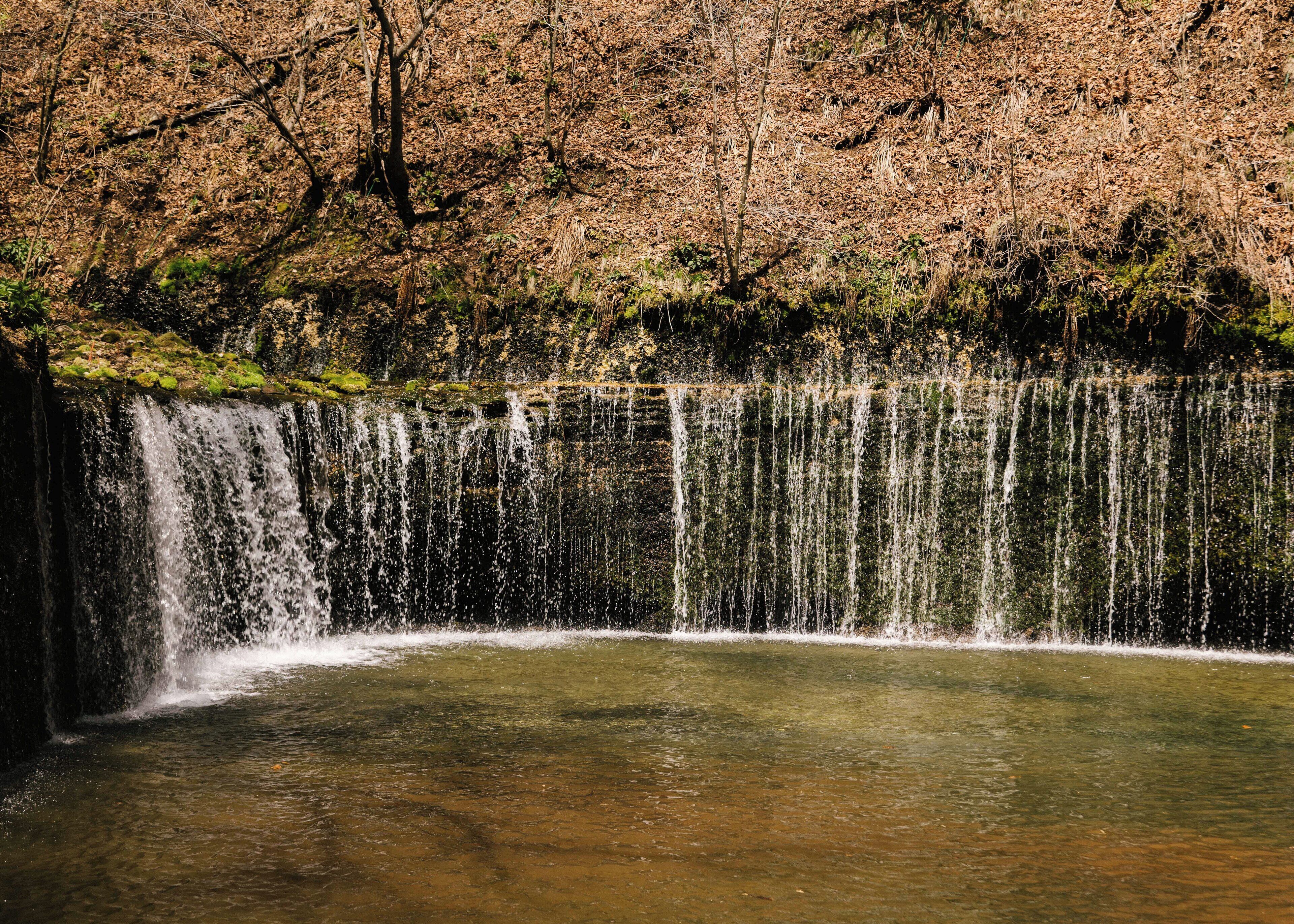 Ein Wasserfall stürzt in ein klares Becken, umgeben von bewaldetem Gelände.